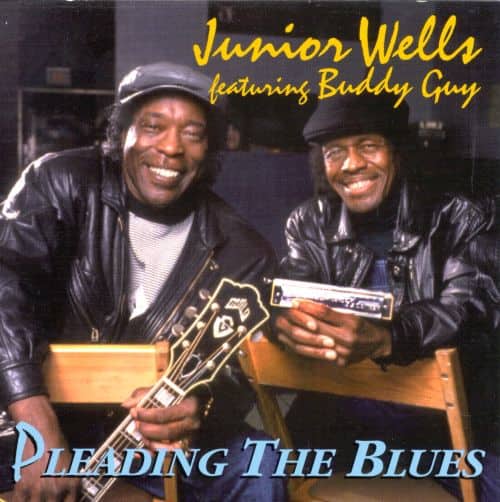 

Pleading the Blues [LP] - VINYL