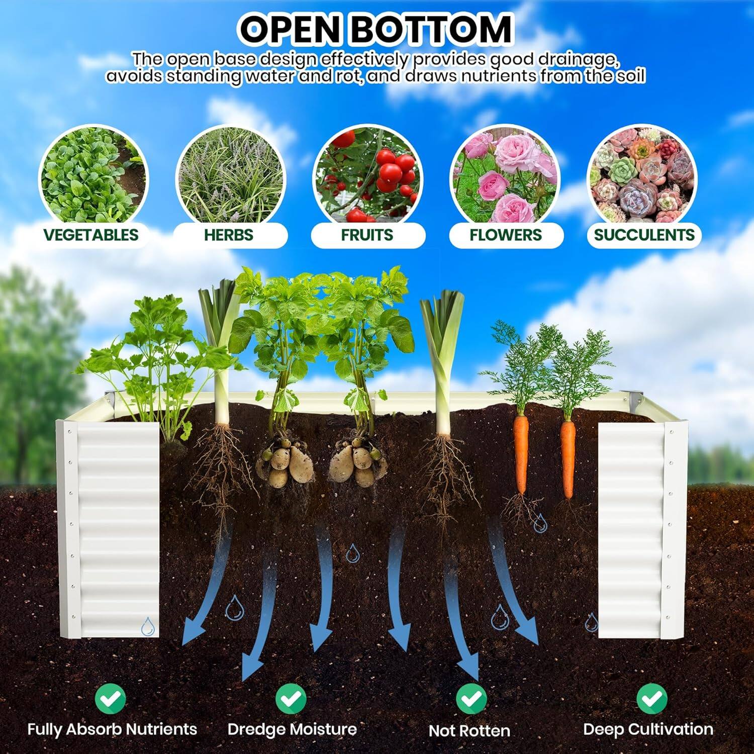 **OPEN BOTTOM**

The open base design effectively provides good drainage, avoids standing water and rot, and draws nutrients from the soil.

- VEGETABLES
- HERBS
- FRUITS
- FLOWERS
- SUCCULENTS

- Fully Absorb Nutrients
- Dredge Moisture
- Not Rotten
- Deep Cultivation