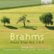 Front Standard. Brahms: Piano Trios Nos. 1 & 3 [CD].