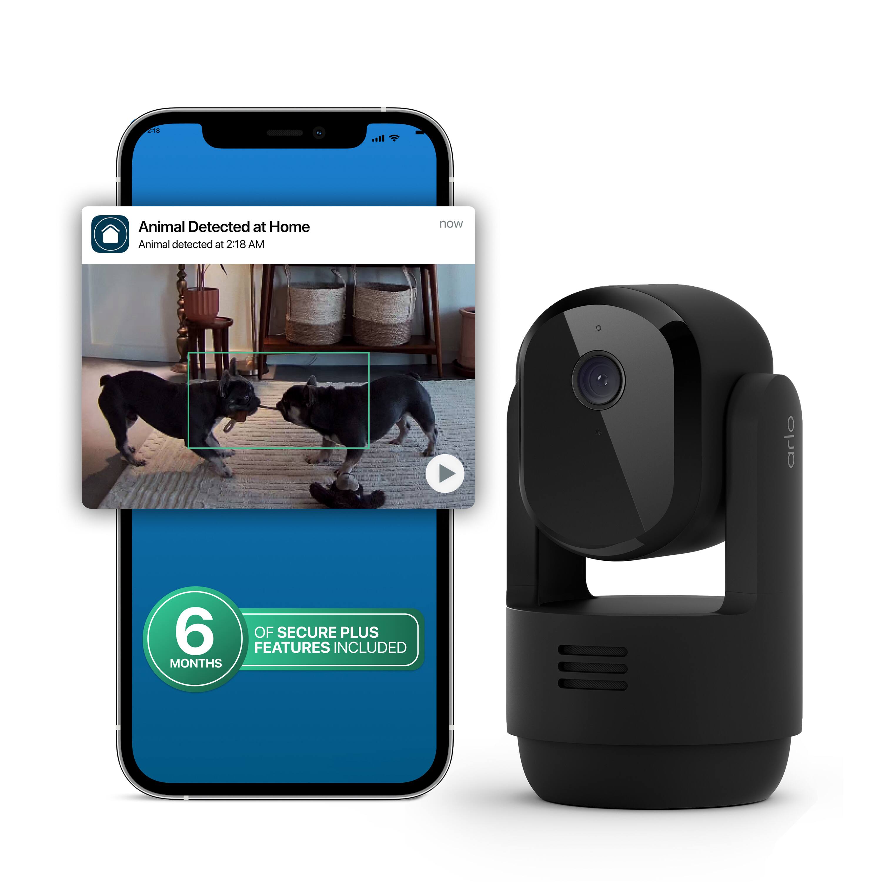 Animal Detected at Home  
Animal detected at 2:18 AM  

6 FEATURES OF SECURE PLUS MONTHS