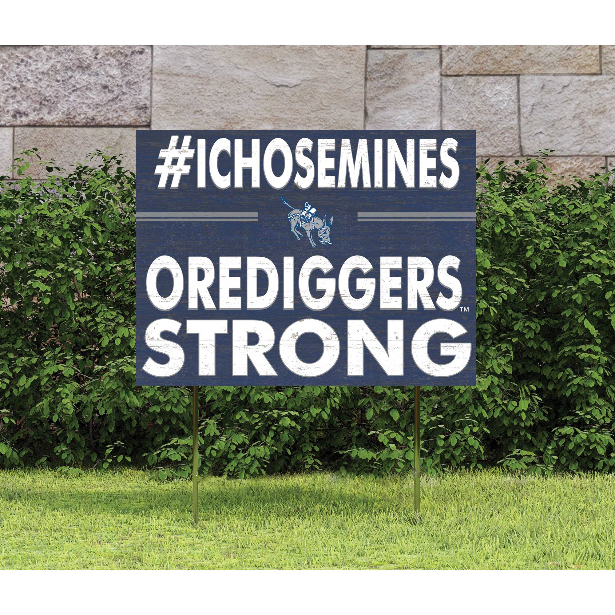 #ICHOSSEMINESS  
OREDIGGERS  
STRONG