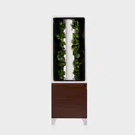 Just Vertical - EVE Tower Garden | Hydroponic Growing System | Grow Fresh Herbs & Vegetables Year-Round | Fully Assembled - Walnut