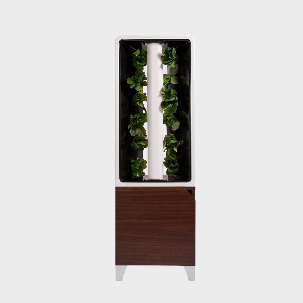 Just Vertical - EVE Tower Garden | Hydroponic Growing System | Grow Fresh Herbs & Vegetables Year-Round | Fully Assembled - Walnut