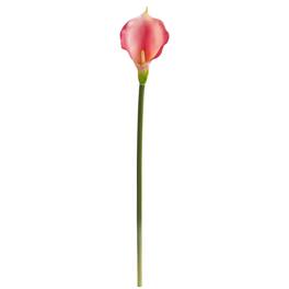 BreeBe - 28" Calla Lily Artificial Flower (Set of 12) - Pink