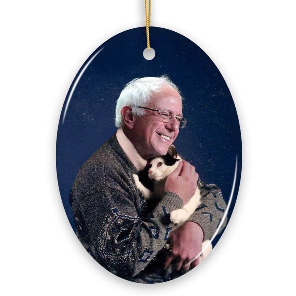 OrnamentallyYou - Bernie Sanders Ornament Christmas Decoration Bernie Holding Cat Oval - Multi-colored
