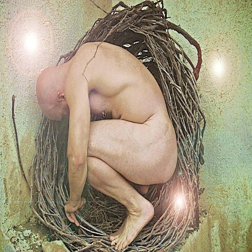 

Rebirth [LP] - VINYL