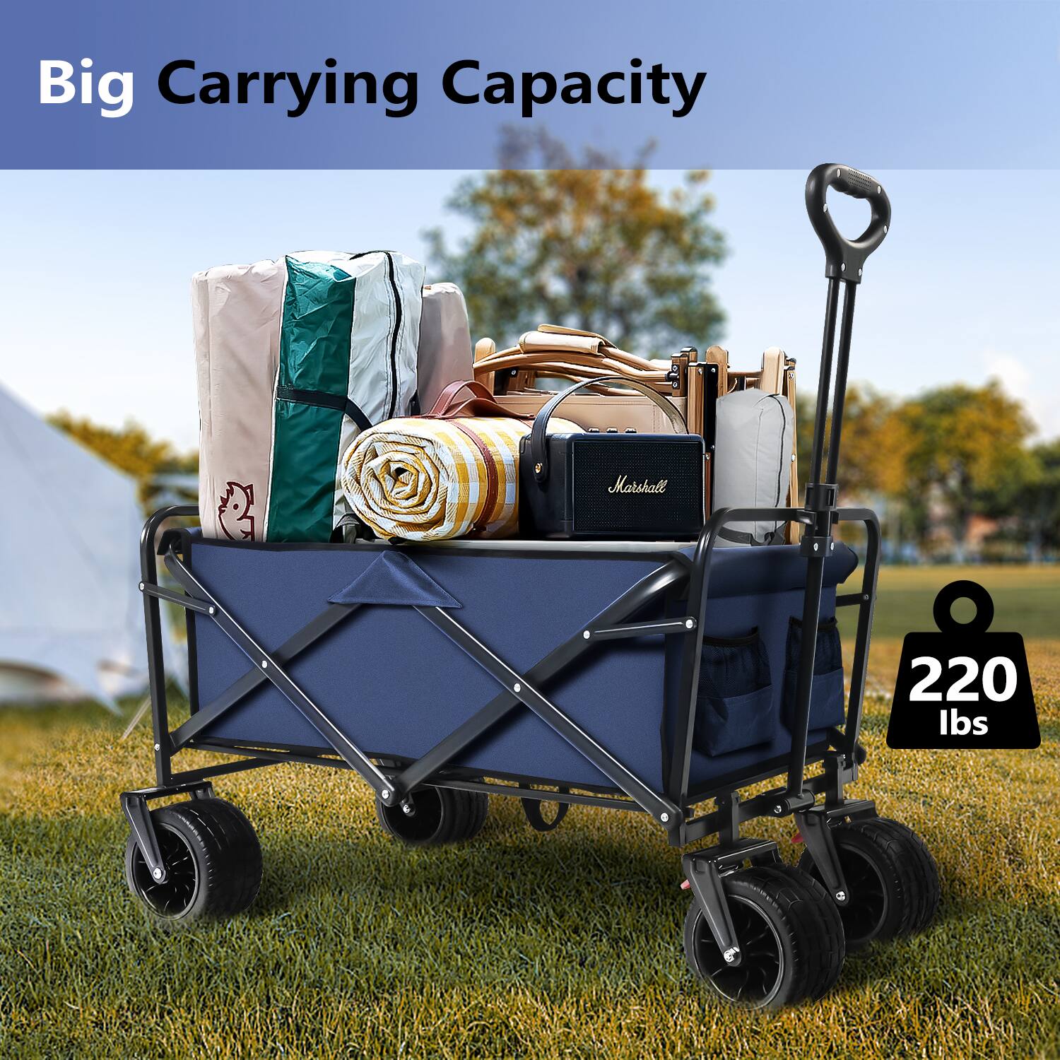 Big Carrying Capacity Marshall 220 lbs.