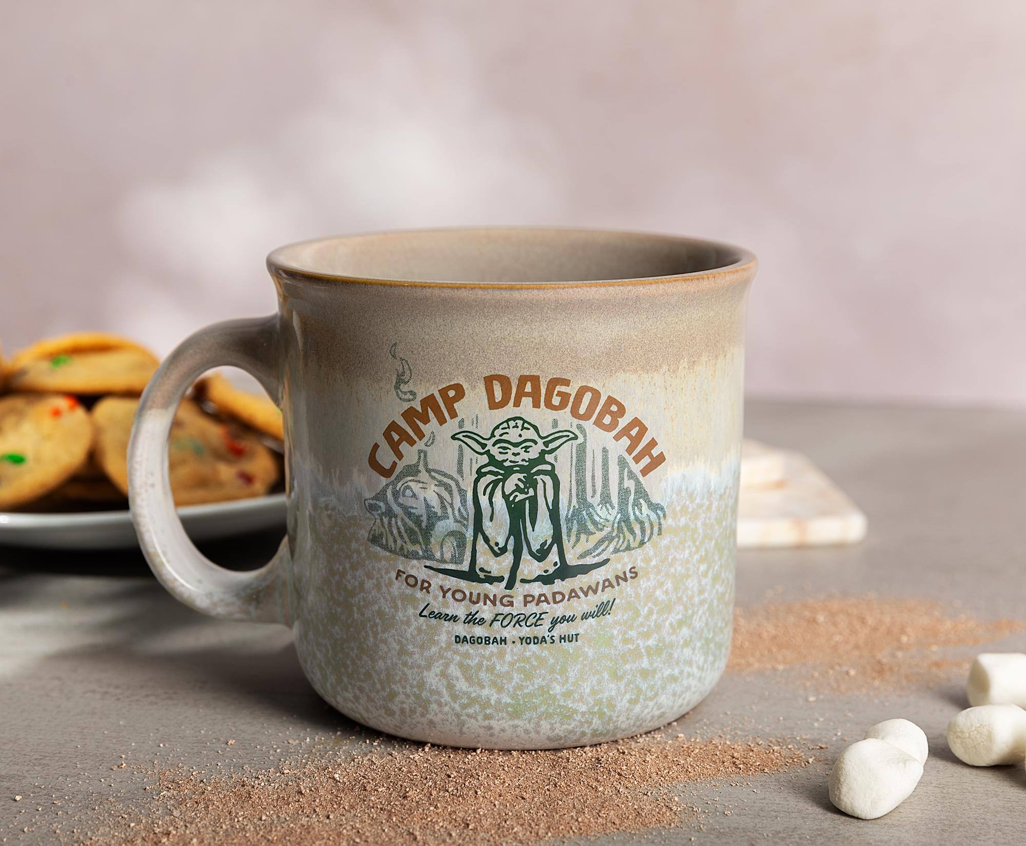 CAMP DAGOBAH  
FOR YOUNG PADAWANS  
Learn the FORCE you will!  
DAGOBAH YODA'S HUT