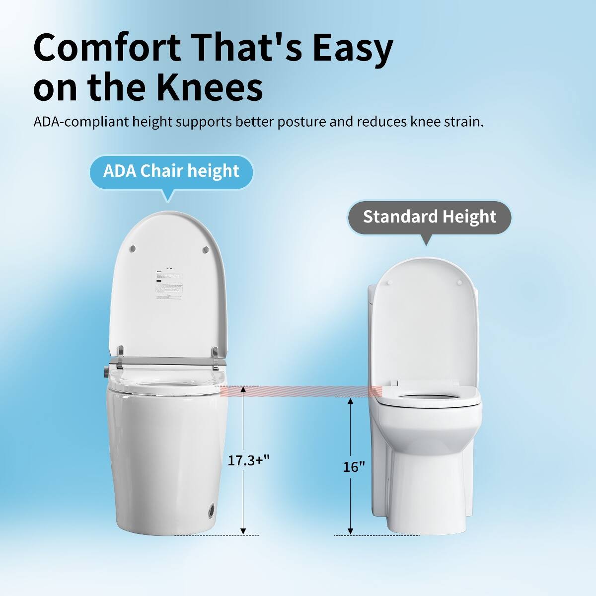 Loheer Smart Bidet Toilet One Piece ADA Compliant Auto Flush Heated ...
