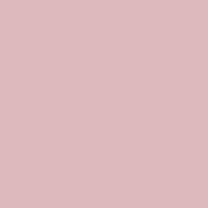 Front. Lee Filters - Lee Filters Cosmetic Silver Rose 24x21" Gel Filter Sheet.