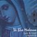 Front Standard. The Blue Madonna [CD].