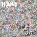 Front Standard. While We Sleep [CD].