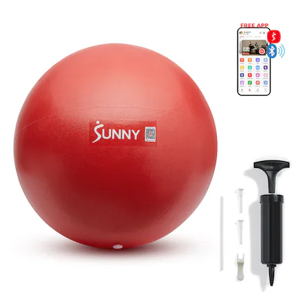 FREE APP
SUNNY