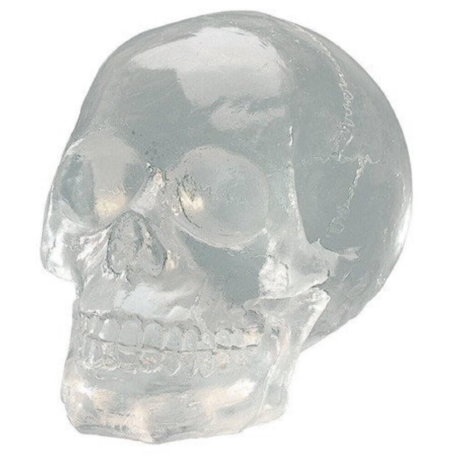 Angle. Pacific Trading - Clear Translucent Skull Collectible Figurine 4.5 inch.