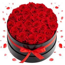 VEVOR - Forever Flowers, 27 Preserved Roses in a Box, Eternal Flowers Immortal Bouquet Birthday Present for Delivery Prime Women - Red, Black