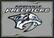 Front Standard. Milliken - Nashville Predators Small Rug.