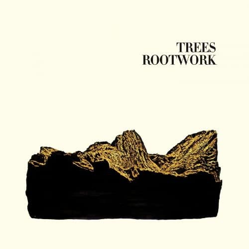 Rootwork [12 inch Vinyl Single] - Best Buy