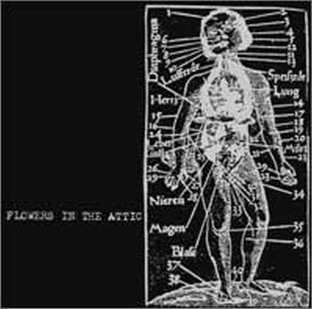 Best Buy Flowers in the Attic [CD]