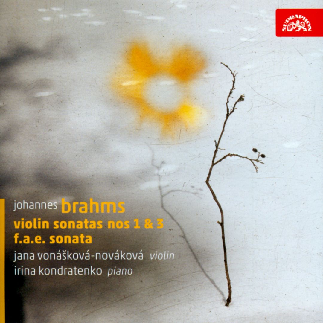 Best Buy: Brahms: Violin Nos. 1 & 2; Sonata
