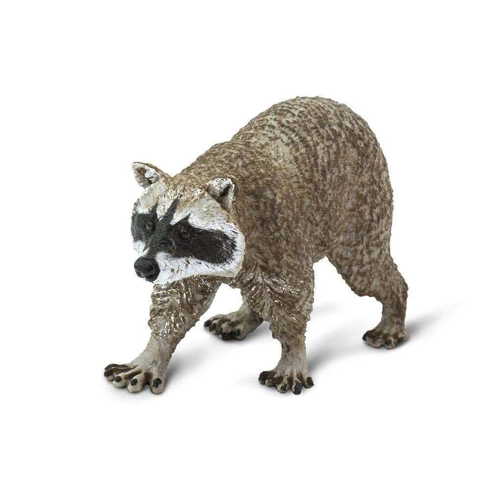 Back. Safari Ltd. - Raccoon Toy Figurine.