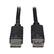 Angle. Tripp Lite - DisplayPort Cable - Black.