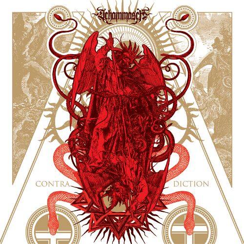 Front. Contradiction [LP].