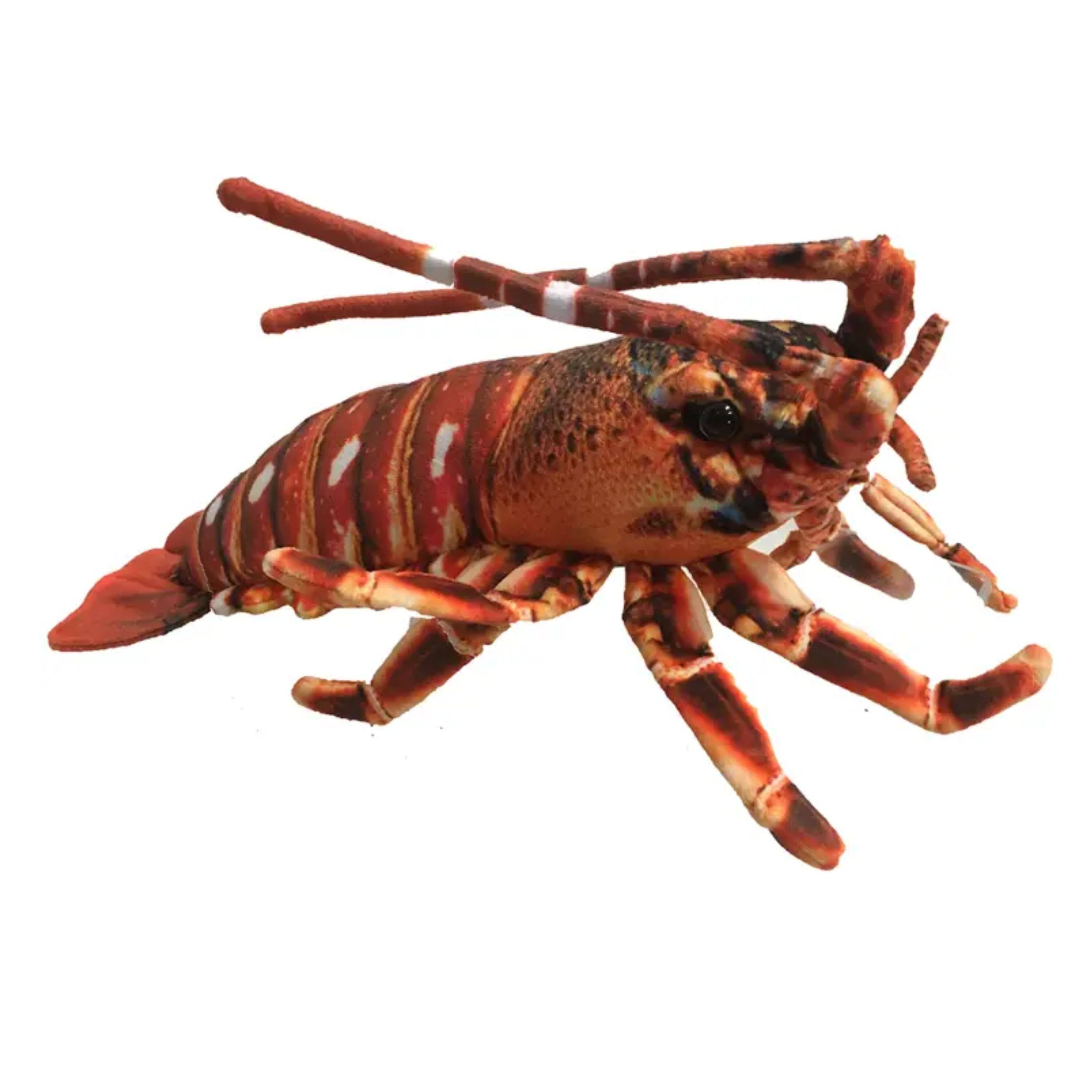 Front. Kitcheniva - 12.5" Crawfish Lobster Aquatic Stuffed Animal For Kids.