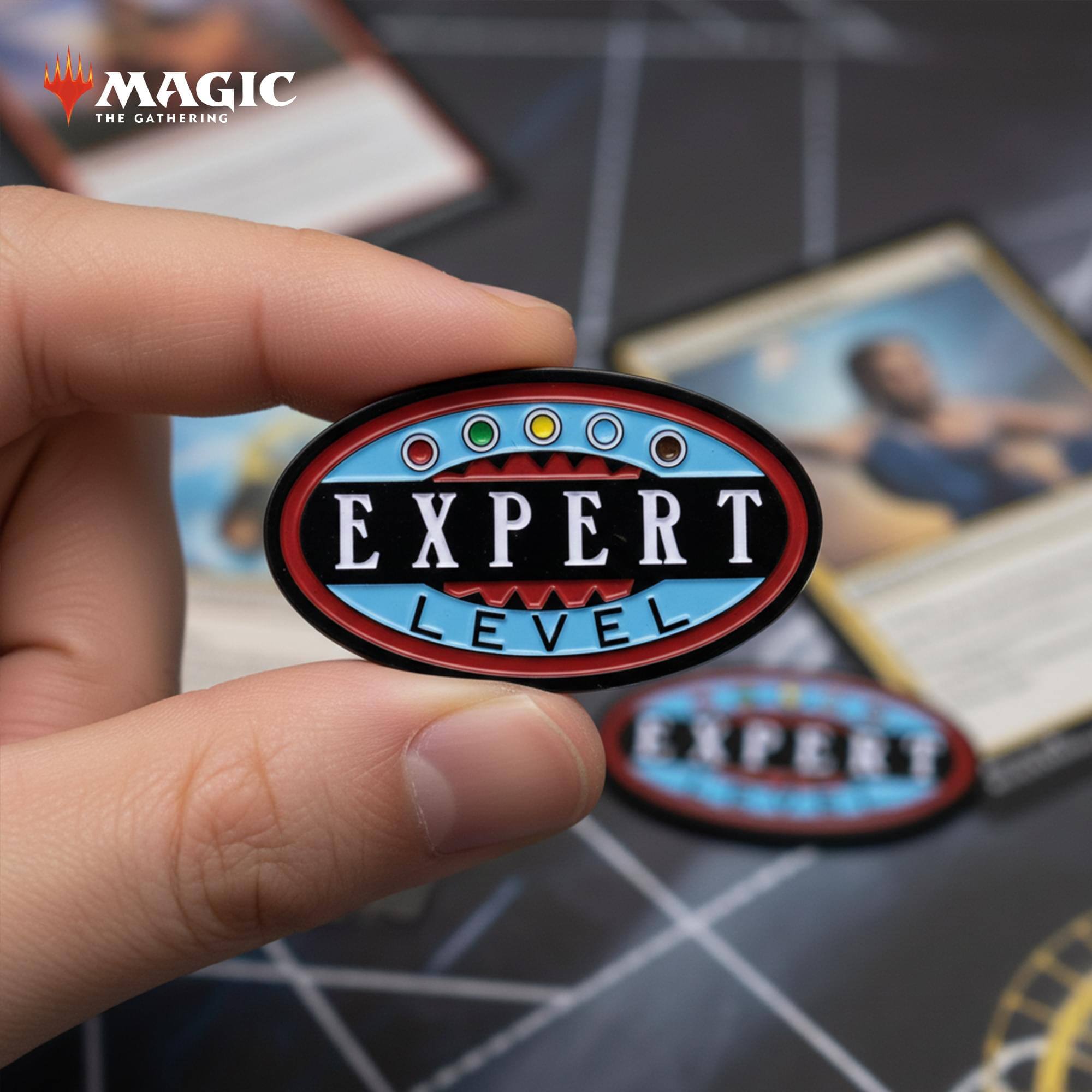 MAGIC THE GATHERING EXPERT LEVEL