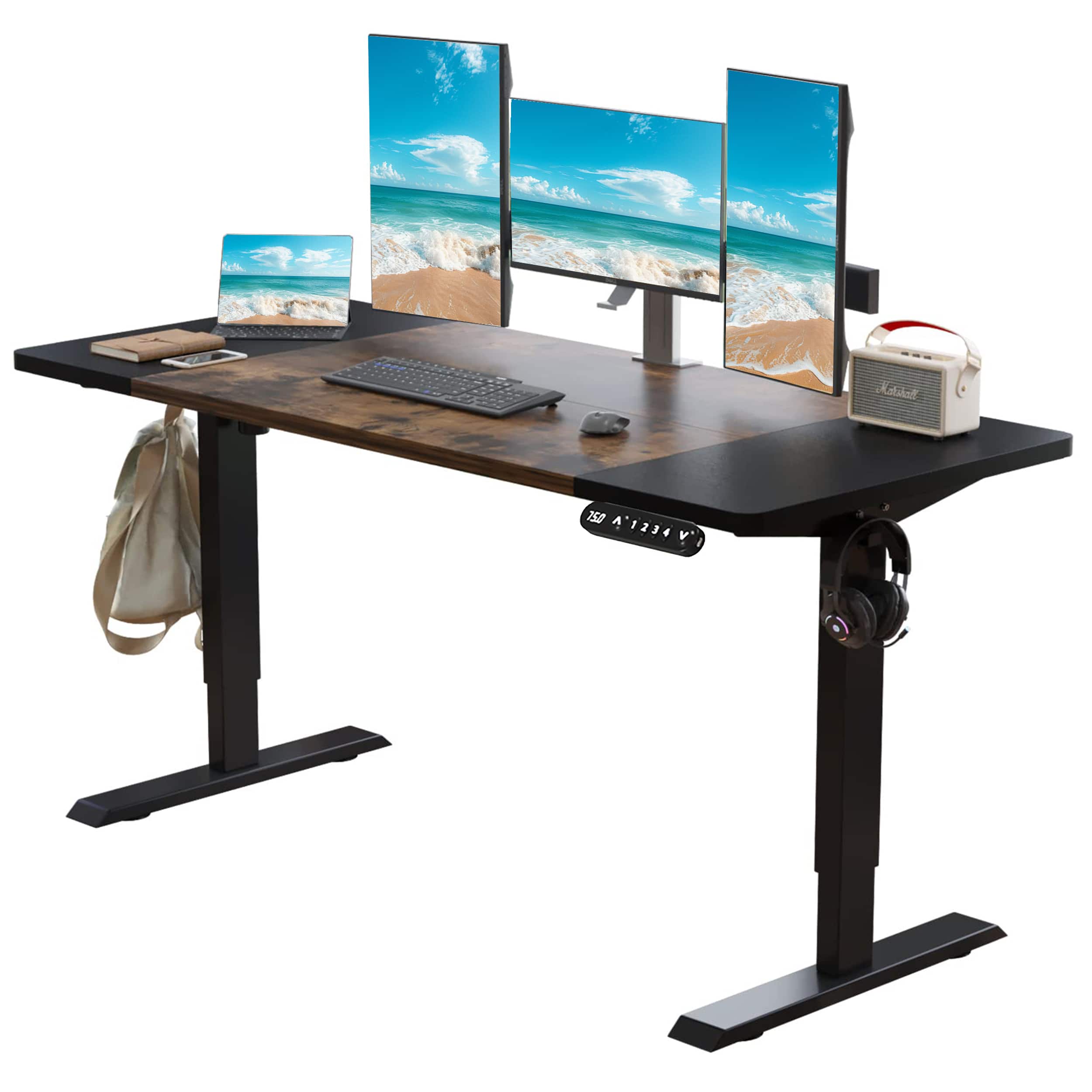 Anysun - 63" x 30" Electric Standing Desk - Height Adjustable Sit-Stand Computer Desk with Splice Board, Single Motor - black& brown