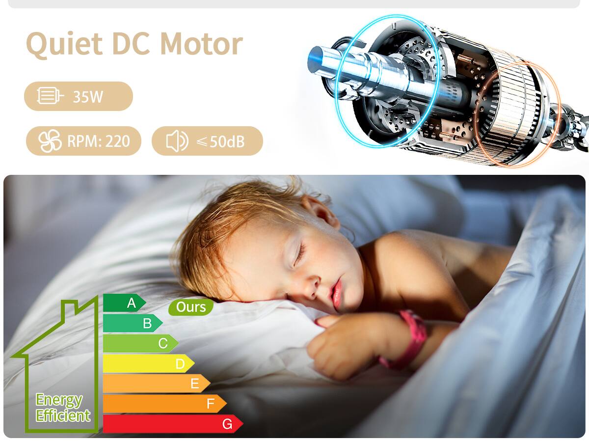 Quiet DC Motor  
35W  
RPM: 220  
≤50dB  

Energy Efficient  
A  
B  
C  
D  
E  
F  
G  

Ours