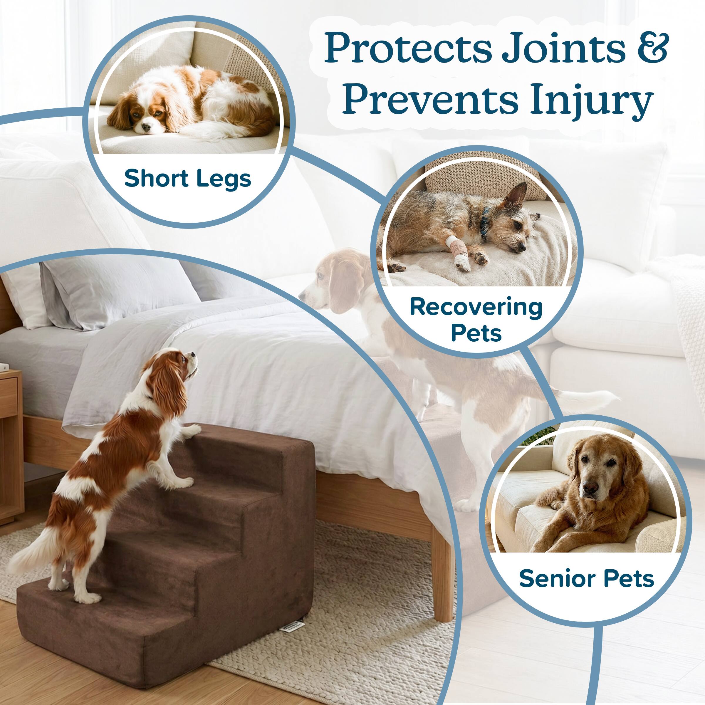 Protects Joints & Prevents Injury  
- Short Legs  
- Recovering Pets  
- Senior Pets