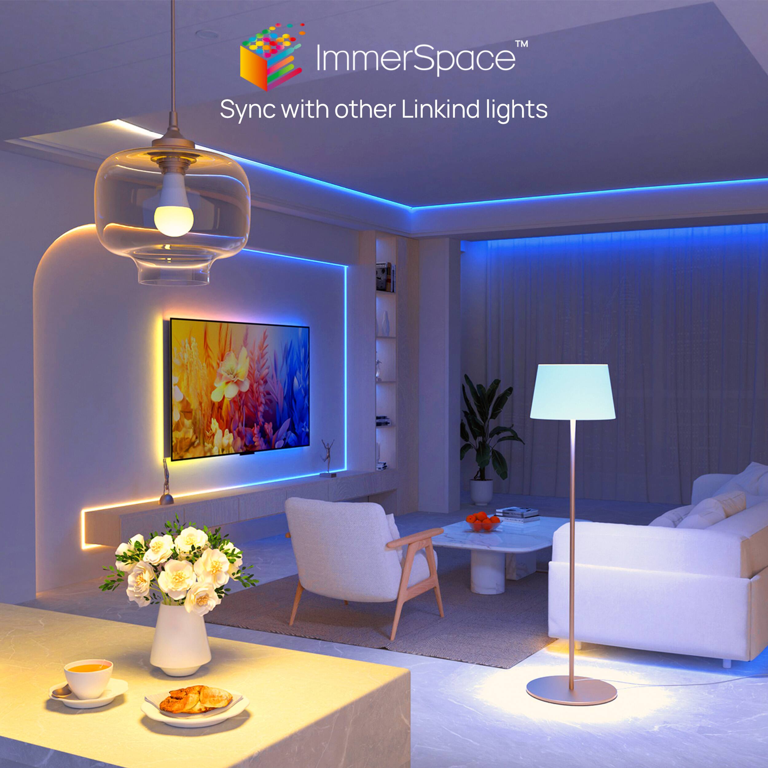 ImmerSpace™ Sync with other Linkkind lights