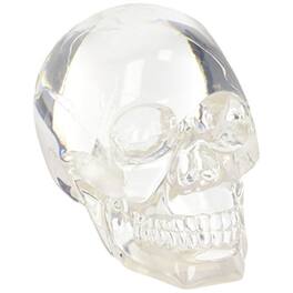 Pacific Trading - Clear Translucent Skull Collectible Figurine 4.5 inch