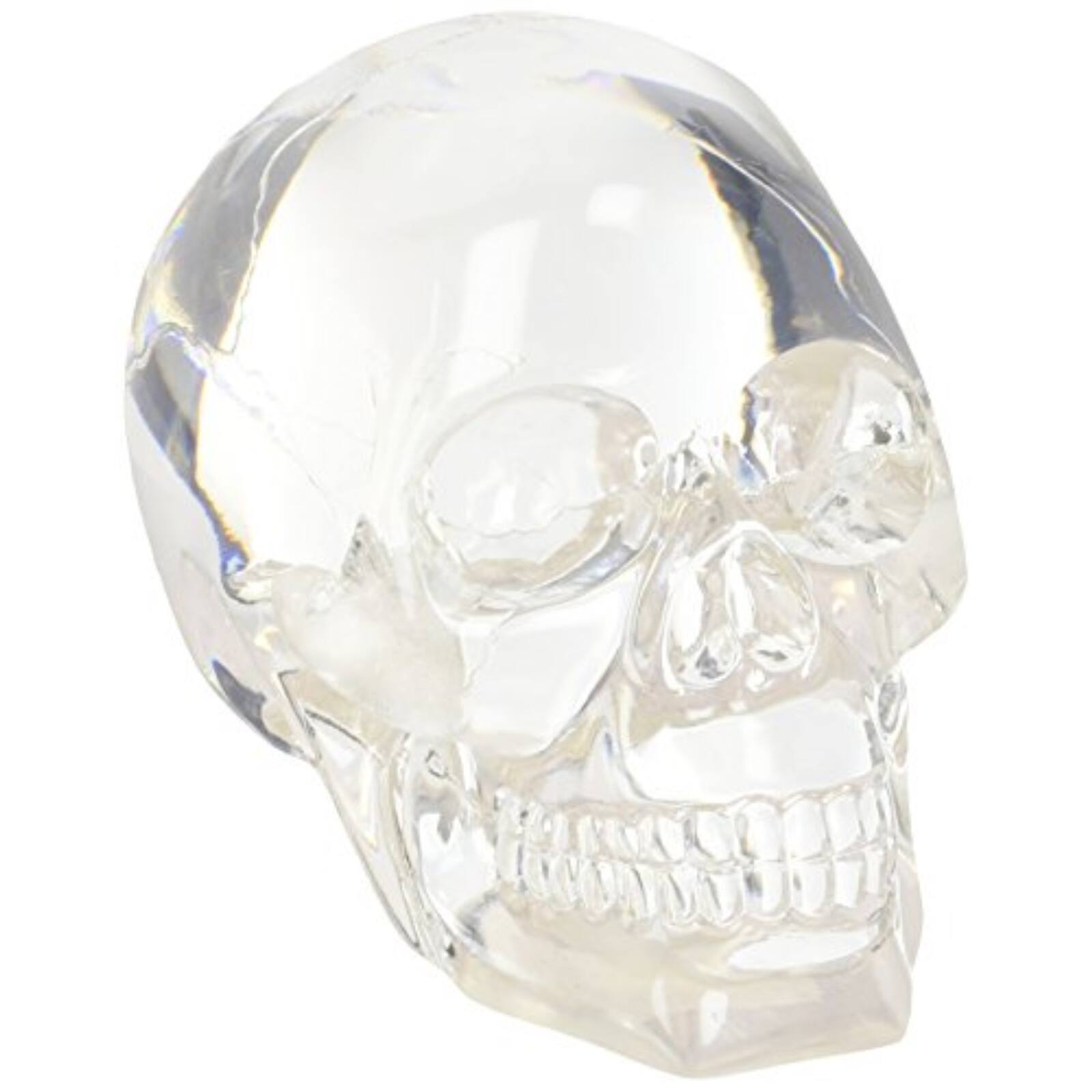 Front. Pacific Trading - Clear Translucent Skull Collectible Figurine 4.5 inch.