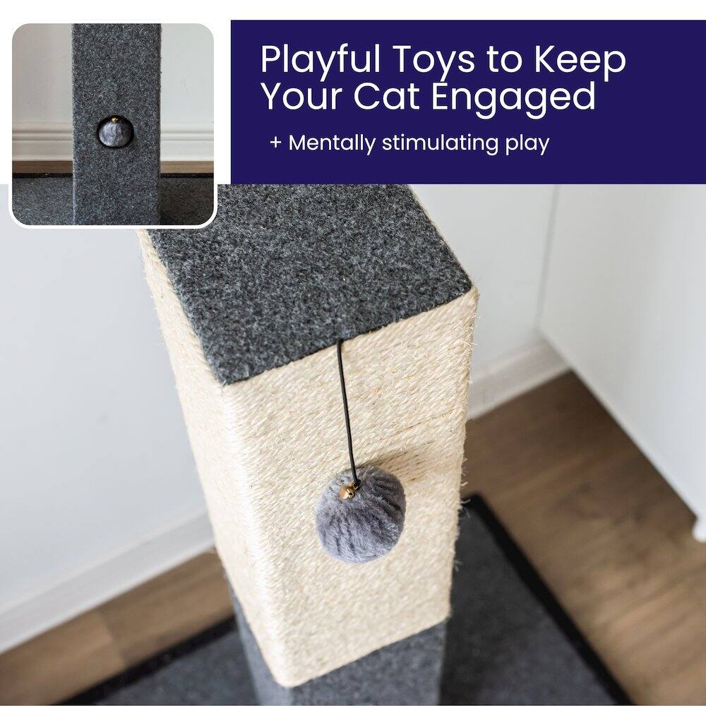 Playful Toys to Keep Your Cat Engaged  
+ Mentally stimulating play