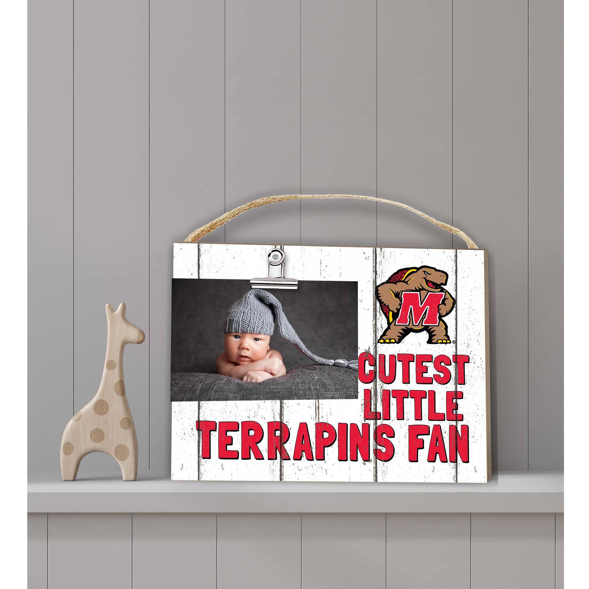 CUTEST LITTLE TERRAPINS FAN