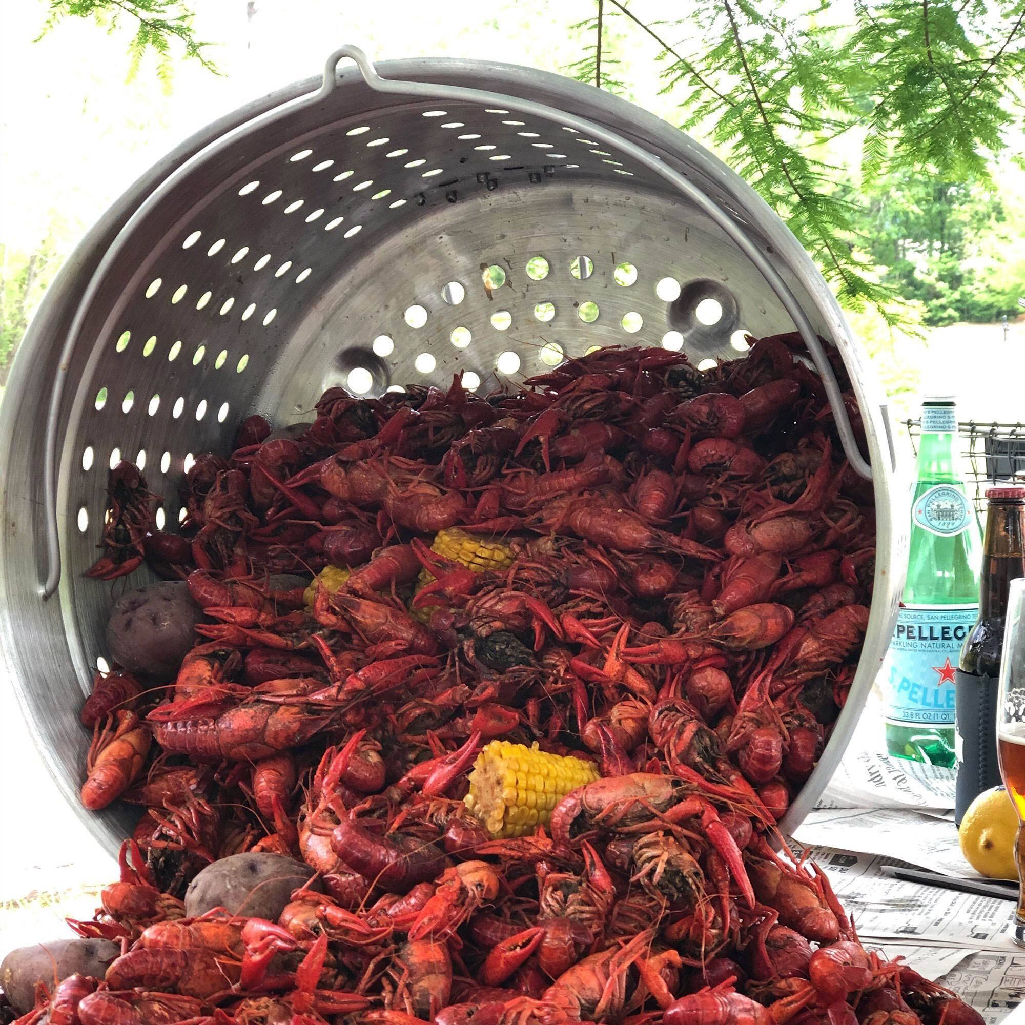 N ... - MUN PELLECI NAURAL - PELLE RO