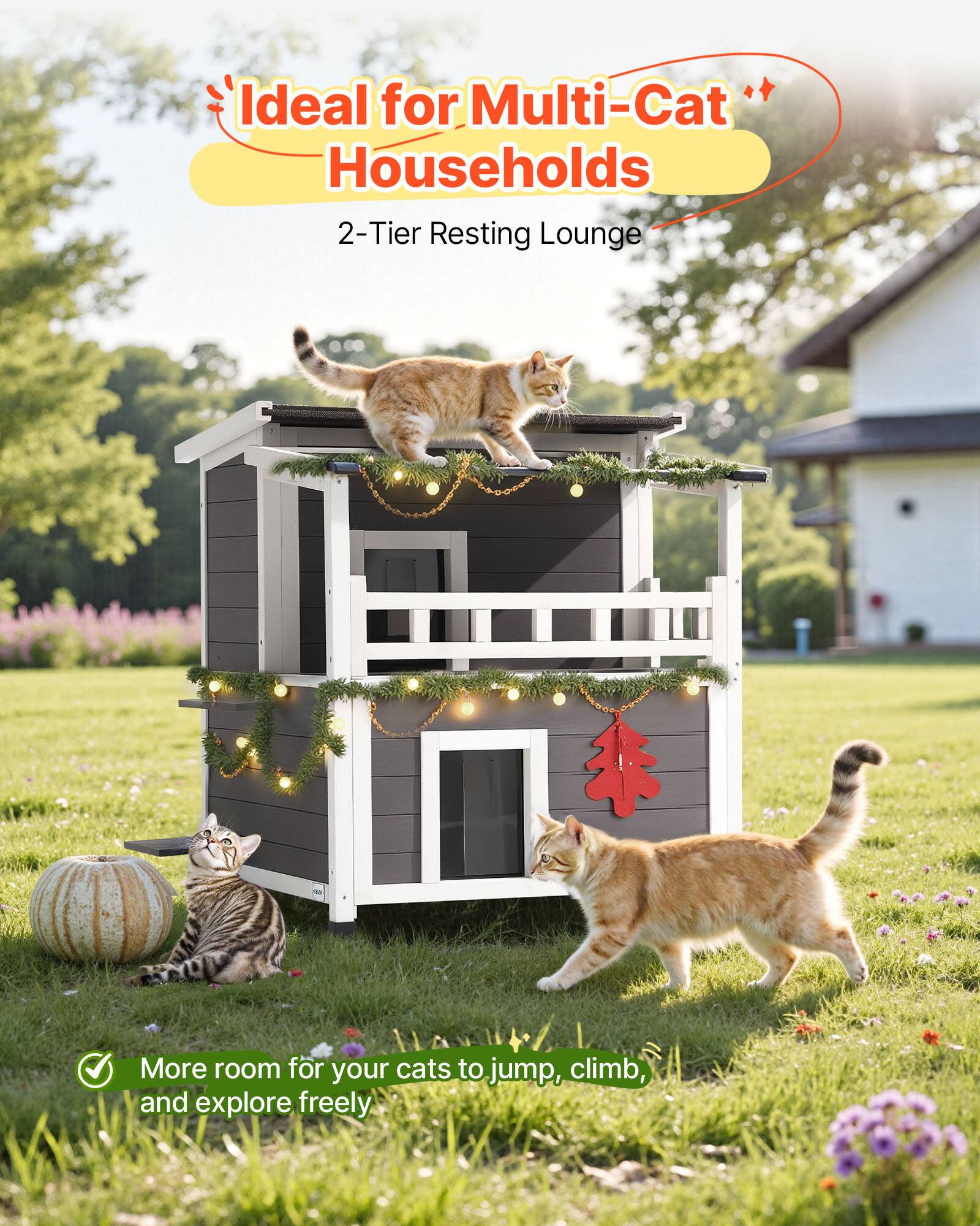Ideal for Multi-Cat Households  
2-Tier Resting Lounge  

More room for your cats to jump, climb, and explore freely