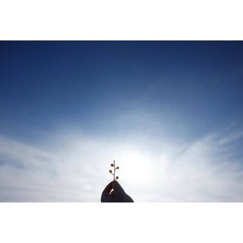 Alt View 4. Sigma - Sigma 10-18mm f/2.8 DC DN Contemporary Lens (Canon RF-S) with Advance Accessories and Travel Bundle | 207972 - Black.