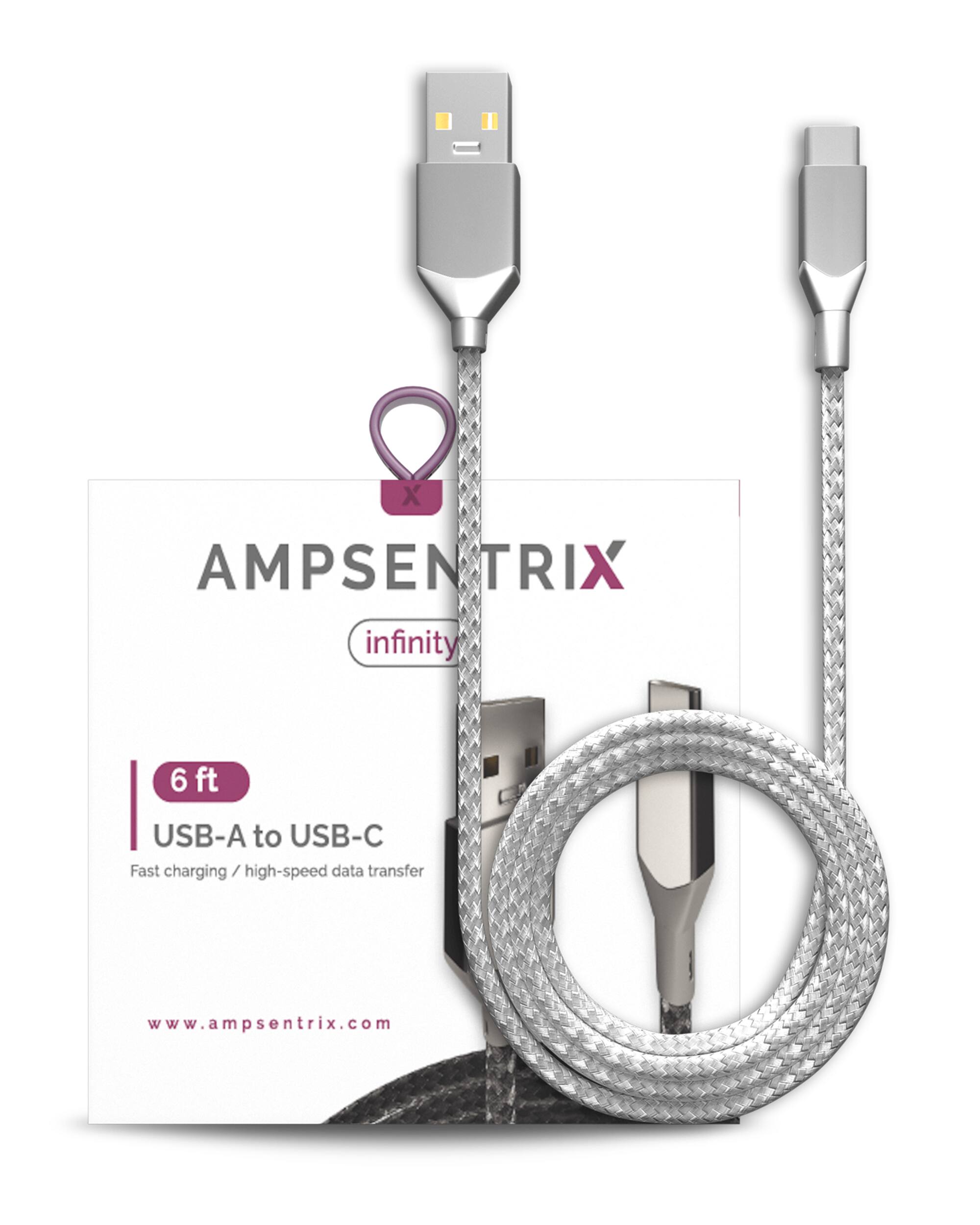 Ampsentrix - 6 ft USB Type C To USB Type A Cable (Infinity) - Silver
