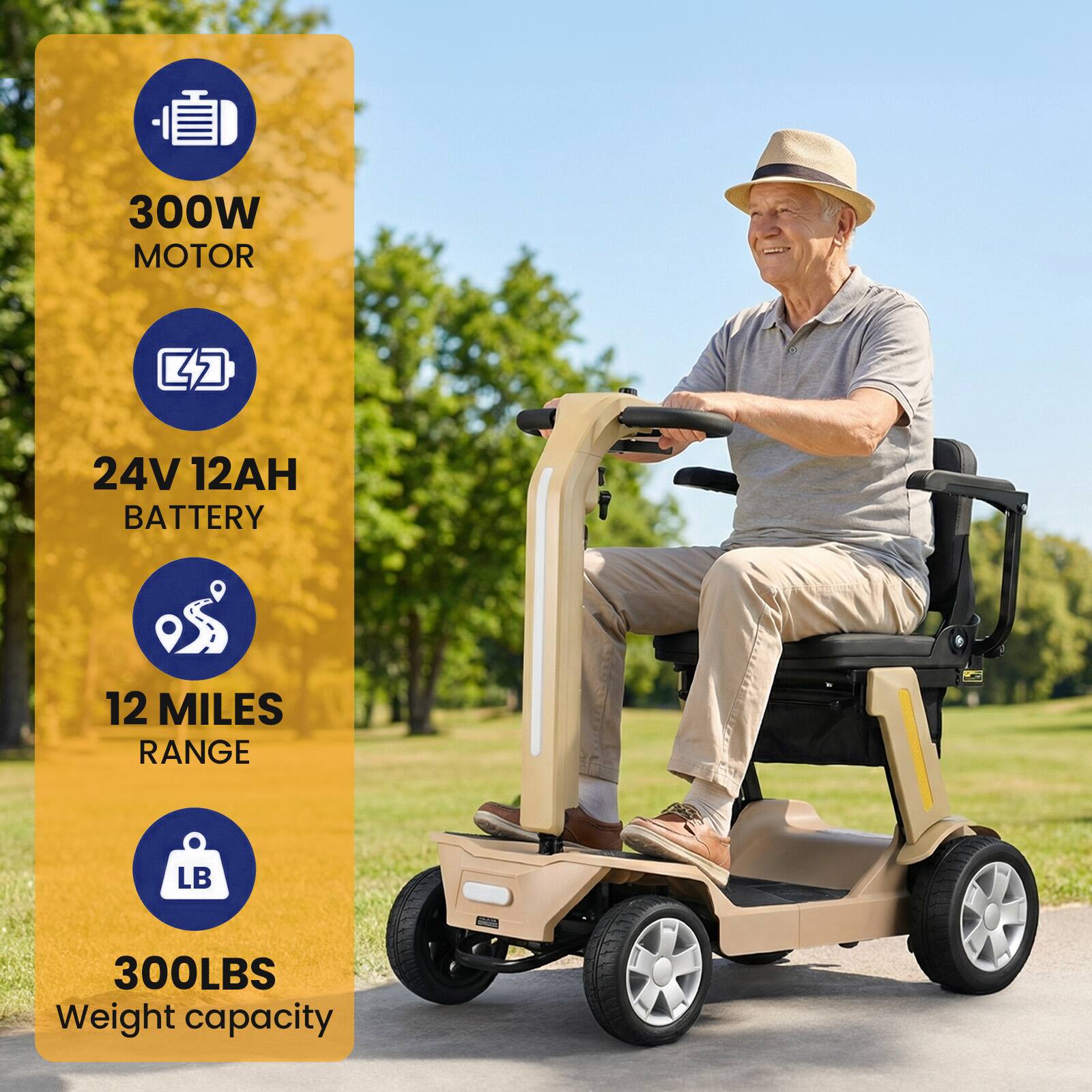 300W MOTOR  
24V 12AH BATTERY  
12 MILES RANGE  
300LBS Weight capacity