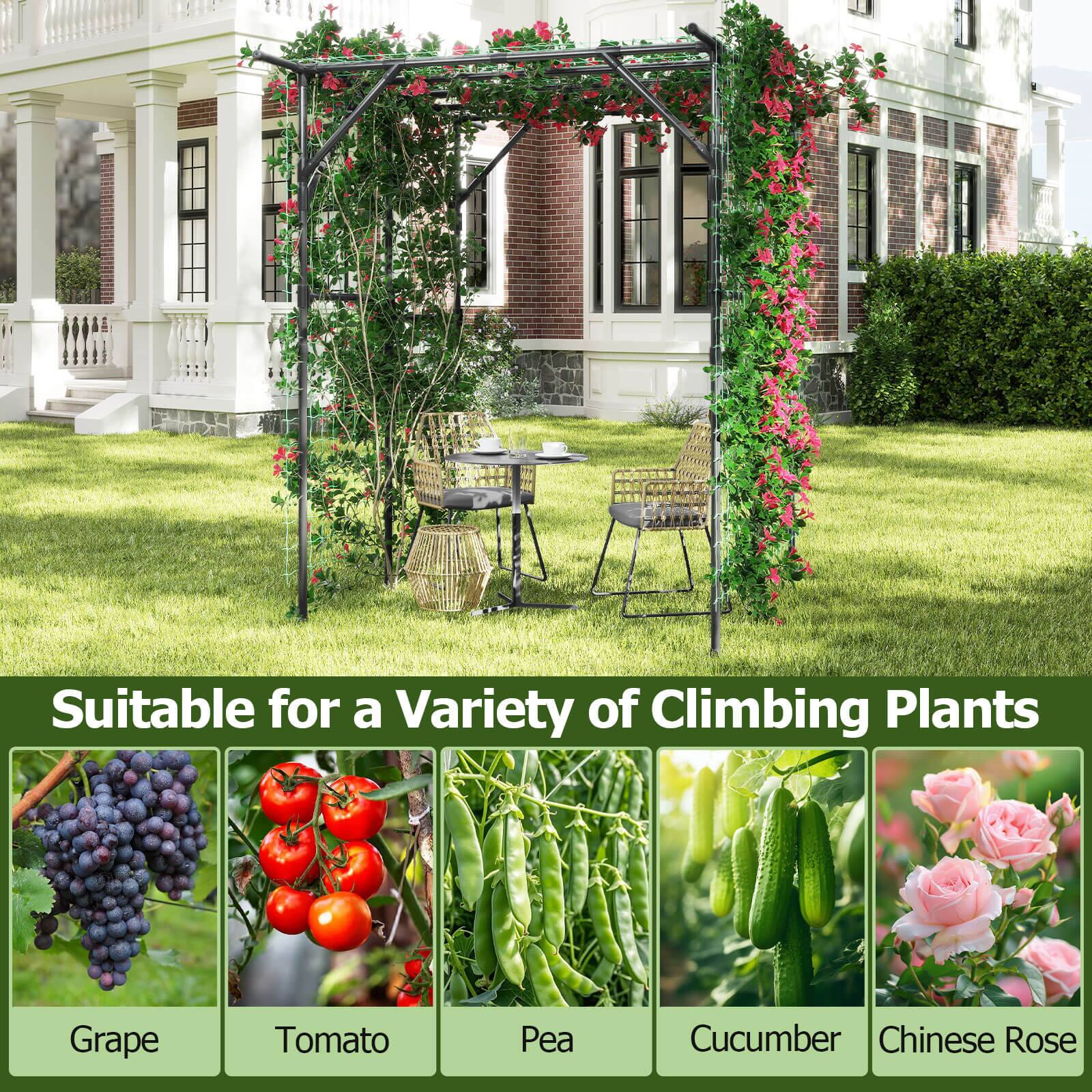 Suitable for a Variety of Climbing Plants

- Grape
- Tomato
- Pea
- Cucumber
- Chinese Rose