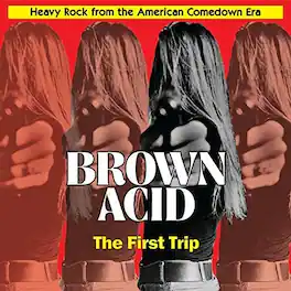 Various Artists - Brown Acid: First Trip (Various Artists) - VINYL LP