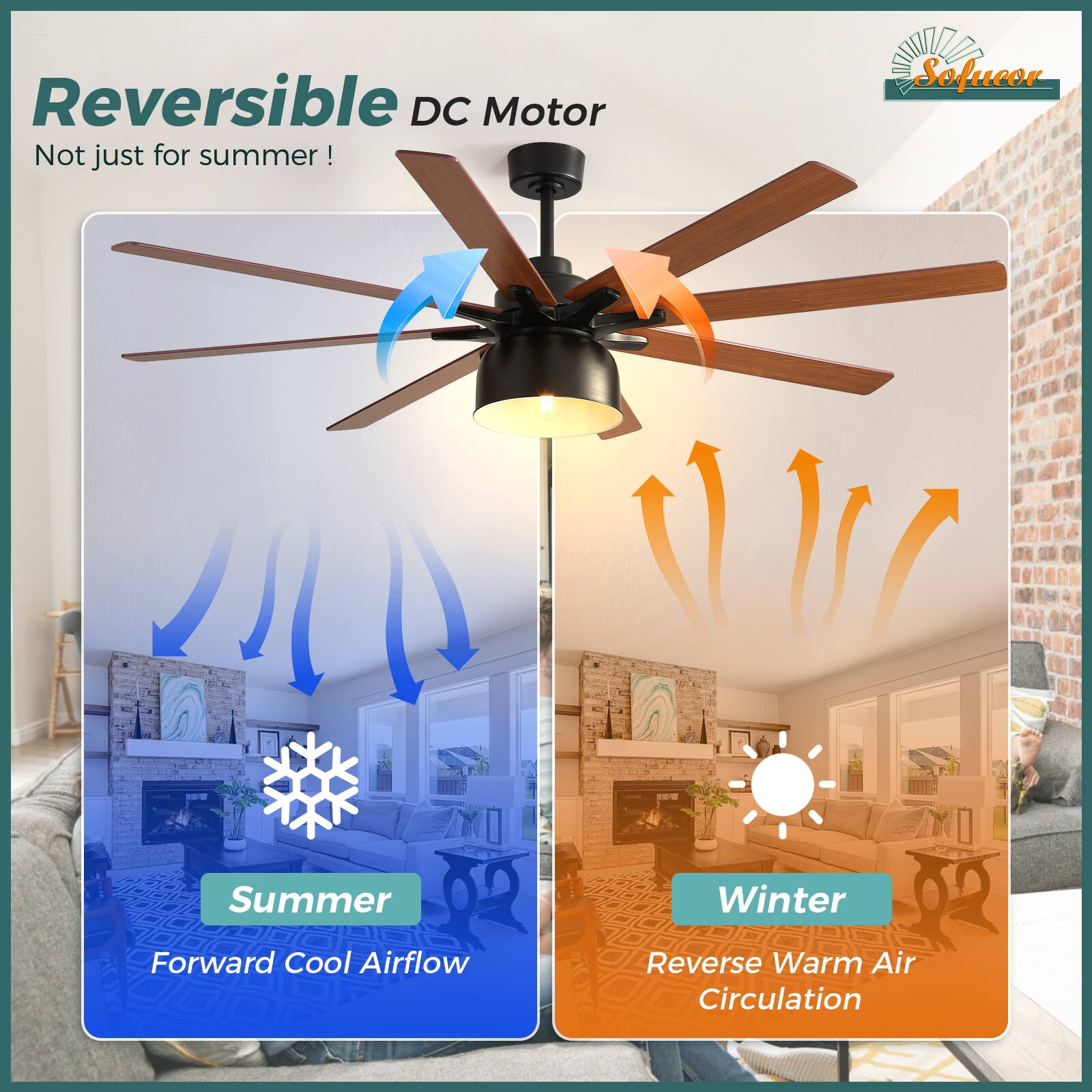 Reversible DC Motor  
Not just for summer!  

Summer  
Forward Cool Airflow  

Winter  
Reverse Warm Air Circulation