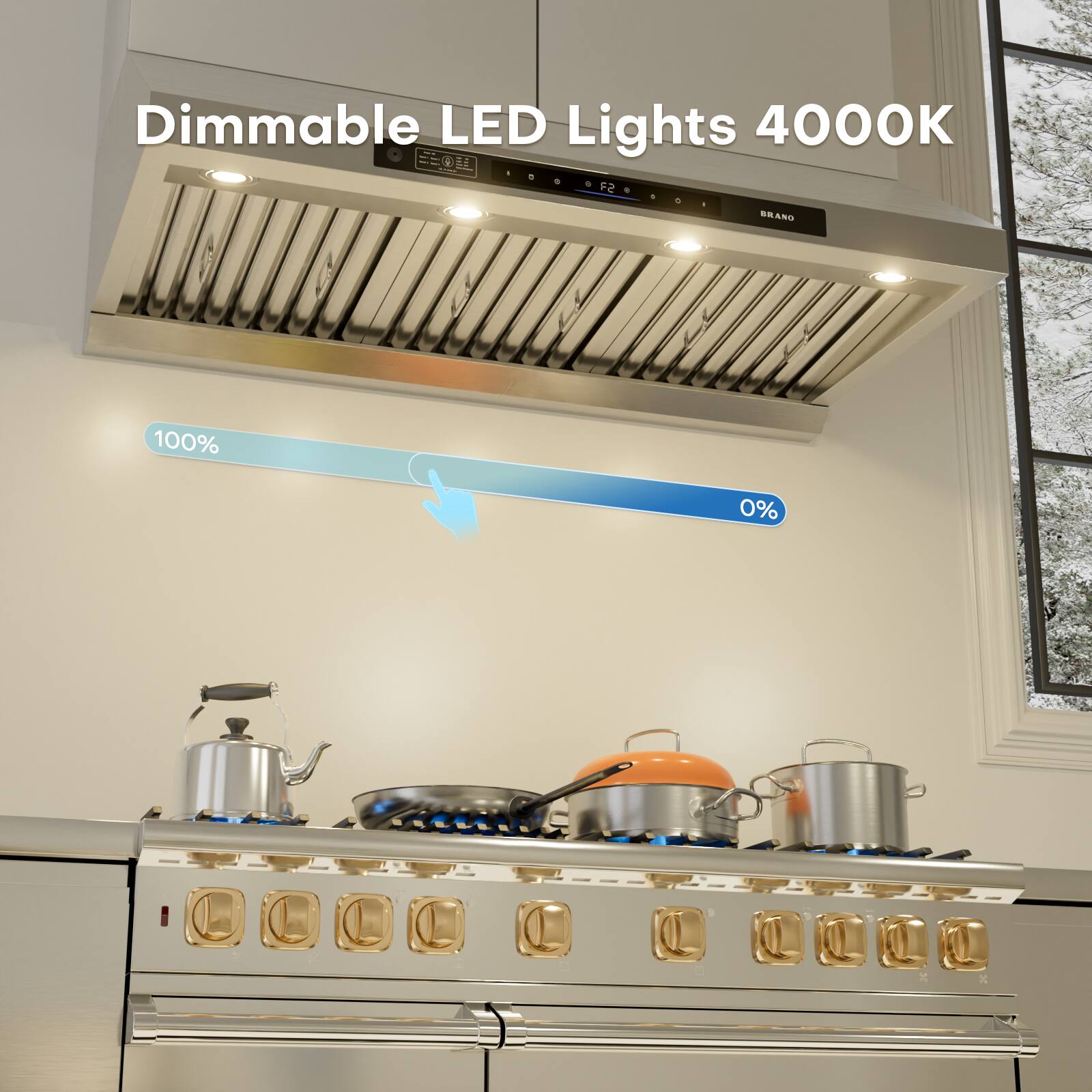 Dimmable LED Lights 4000K  
F2 BRAND  
100% 0%