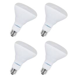 VIRIBRIGHT - BR30 LED Bulb, T20 850 Lumens UL+ES+T20 (4 Pack) - 5000K