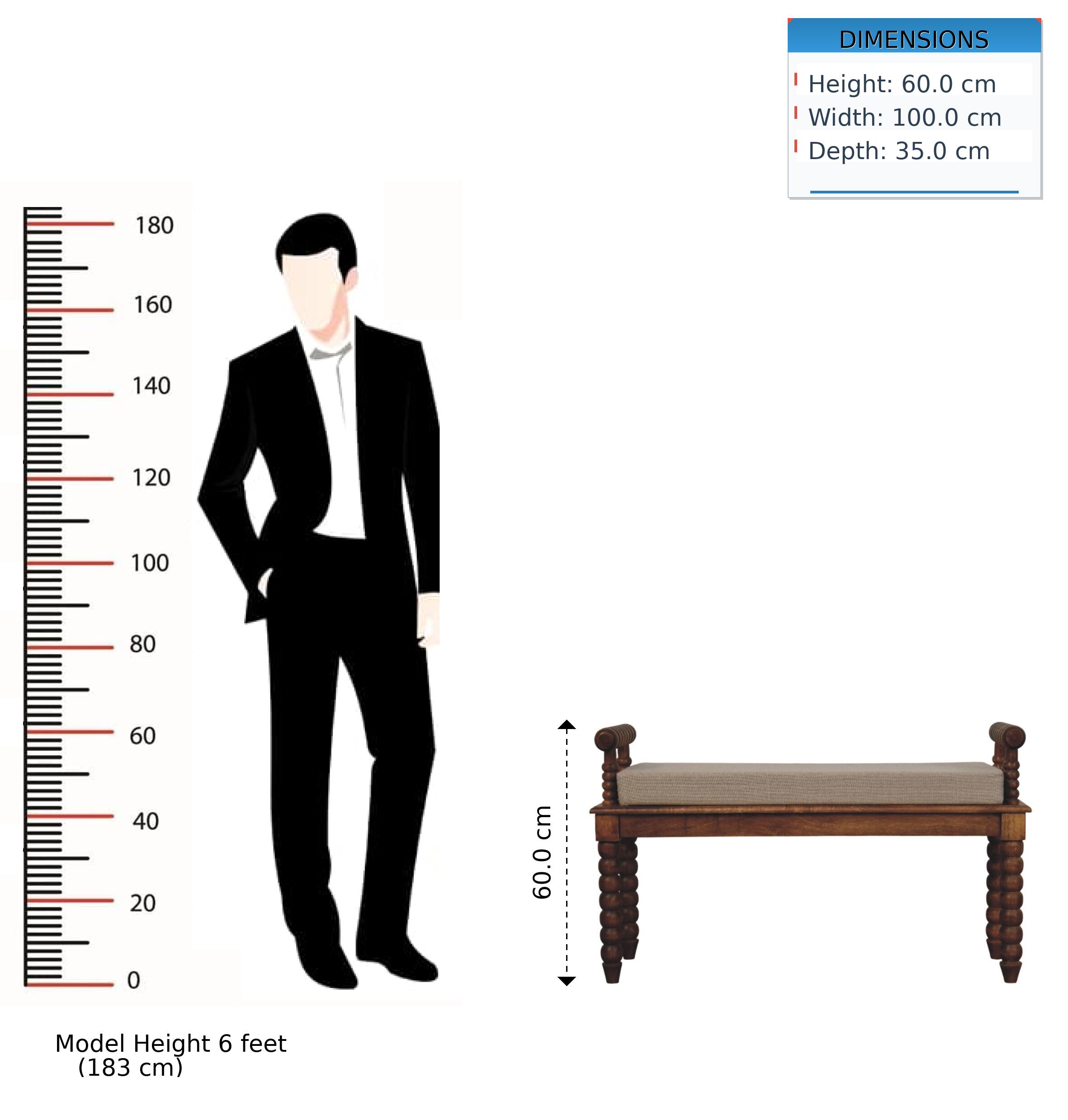 DIMENSIONS  
Height: 60.0 cm  
Width: 100.0 cm  
Depth: 35.0 cm  

Model Height: 6 feet (183 cm)