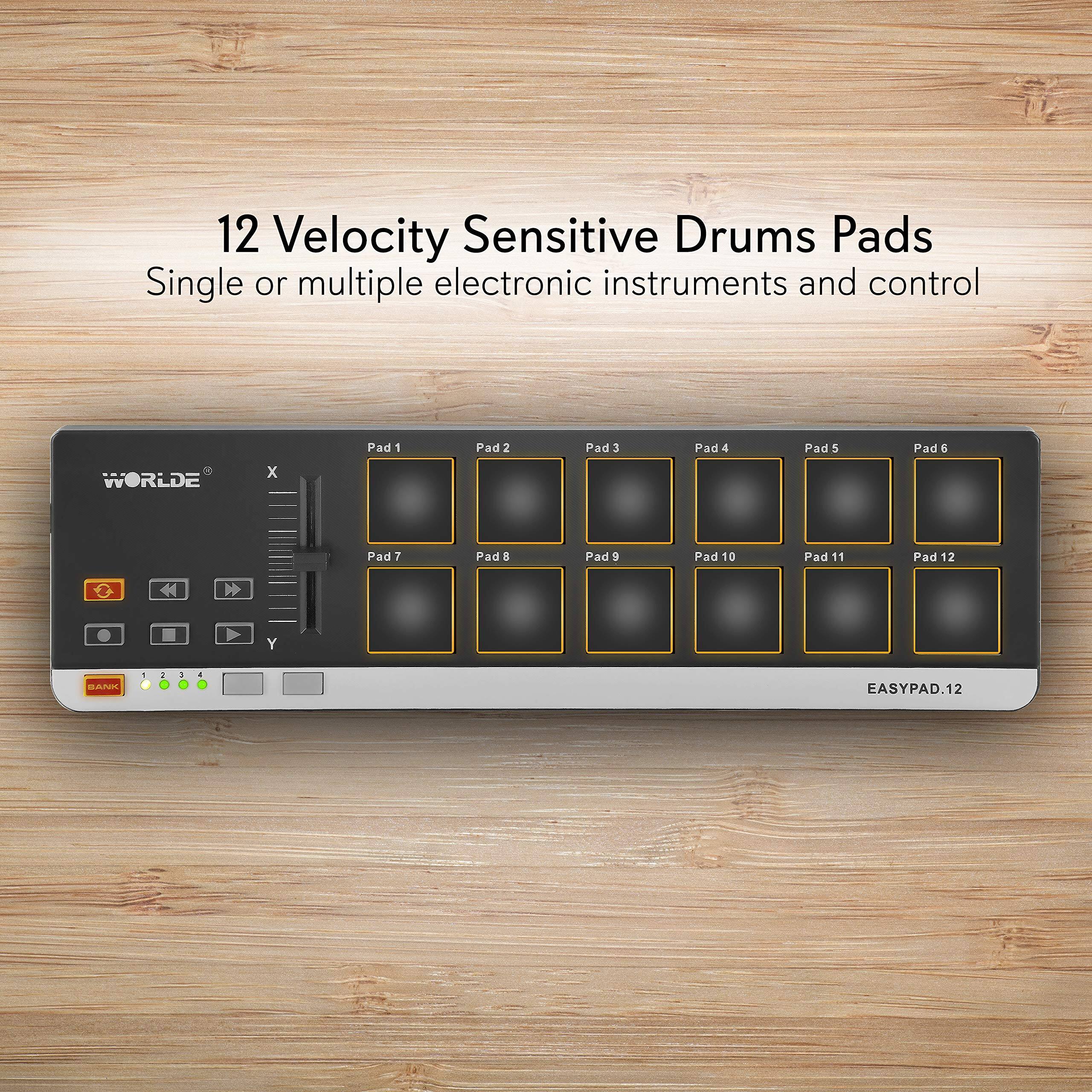 12 Velocity Sensitive Drums Pads  
Single or multiple electronic instruments and control  

WORLDE X Pad 1 Pad 2 Pad 3 Pad 4 Pad 5 Pad 6 Pad 7 Pad 8 Pad 9 Pad 10 Pad 11 Pad 12  

EASYPAD.12