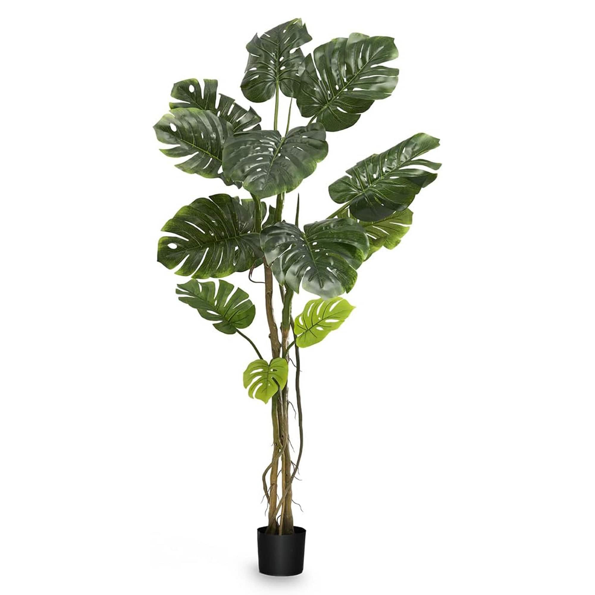 Maia Shop - Artificial Monstera Tropical Palm Tree Home Decoration, 72 Inches - Green
