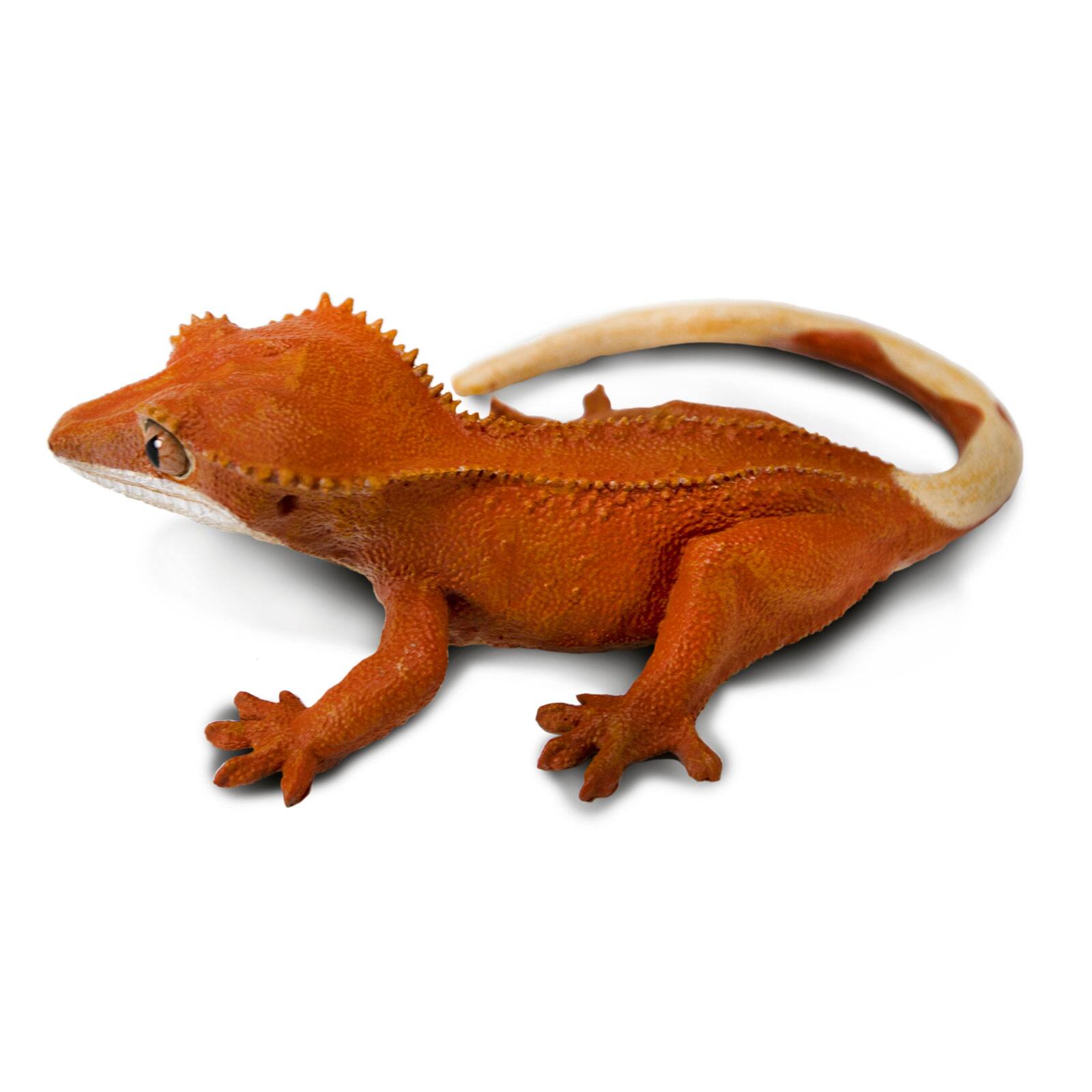Back. Safari Ltd. - Crested Gecko Toy Figurine.